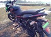 Pulsar 150